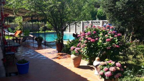 Accommodation in Collioure