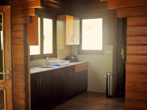 virtuve, Agros Timber Log House in Agros