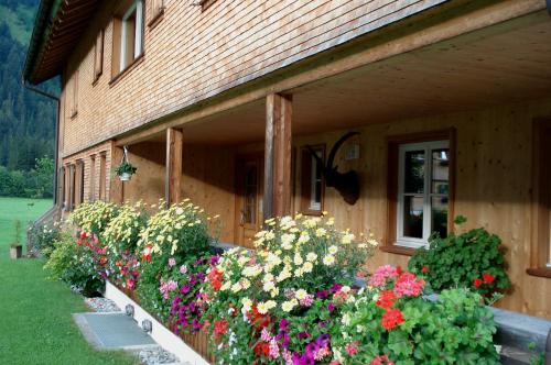 Haus Schatz in Schoppernau