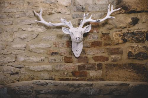 The Stag at Stow