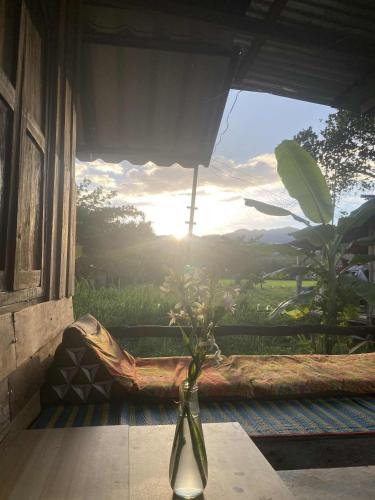 Banana garden, Pai