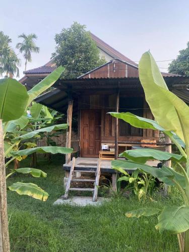 Banana garden in Pai