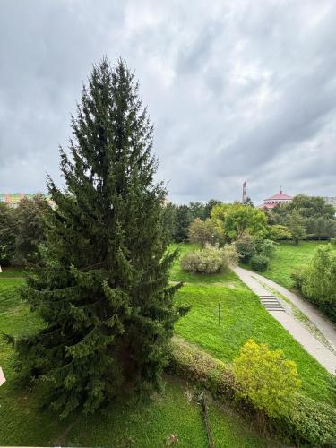 Apkārtne, Apartament Palisadowa by Enklawa in Szczawno Zdroj