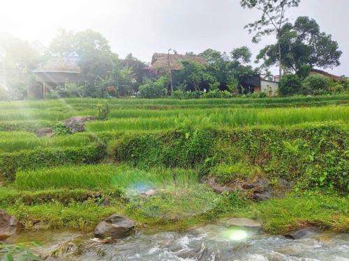 Homestay Hoanh Thắng - image 3