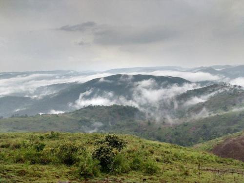 Dolphin Residency – Thekkady, NE