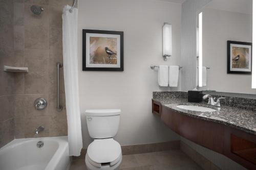 Hilton Garden Inn Denver Downtown - image 19