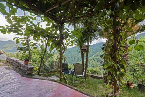 @gatetothewild in Coreglia Ligure