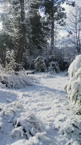 Refugio Holístico Flora Boreal (Refugio Holistico Flora Boreal) in 埃爾博爾桑