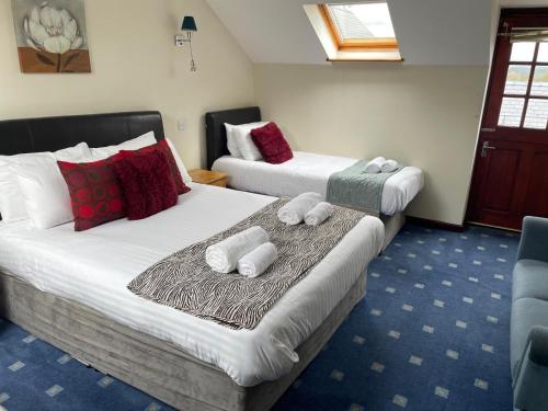 The Stable, Aberystwyth (foto 8)