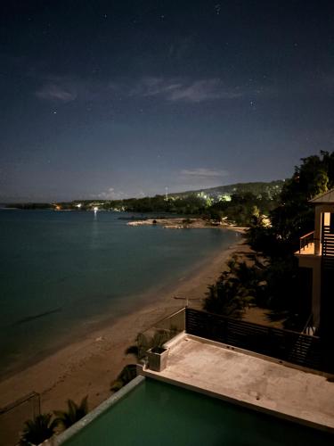 Skyfall villa ocho rios in Oracabessa