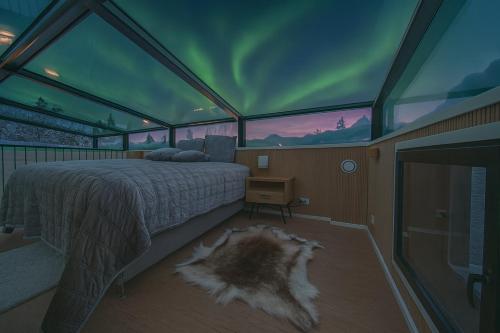Polaris Igloo by Aavalevi