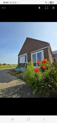 De indiaan in Noord-Scharwoude