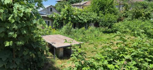 Budur Guesthouse in Ijevana