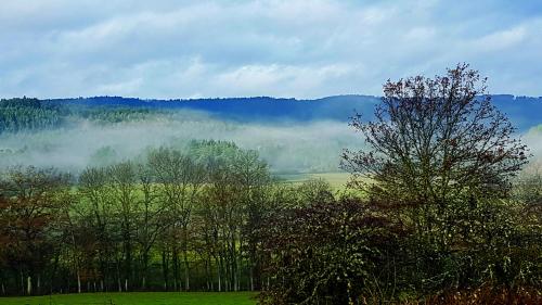 Chateau de Riols gîte à louer Bostfaucher