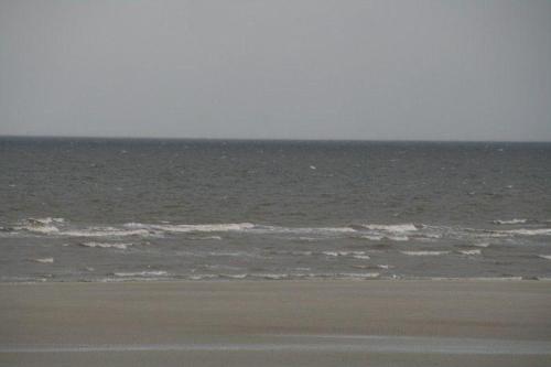 Nickelshus-Whg-Lars in Strandweg