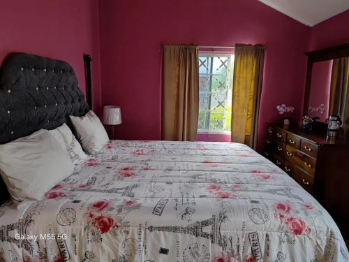 The Luxe Spot in Spanish Town