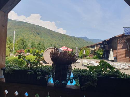 Pensiunea Roua Muntelui in Salciua De Sus