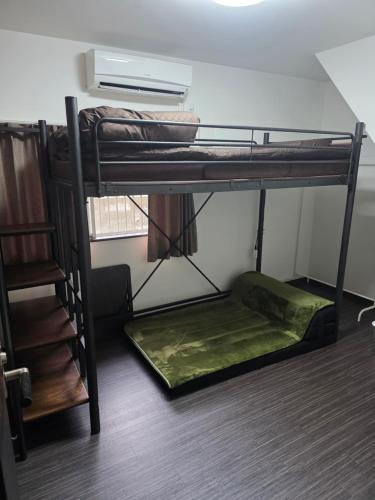 Osaka Itami Airport NINN 大阪伊丹空港 にん