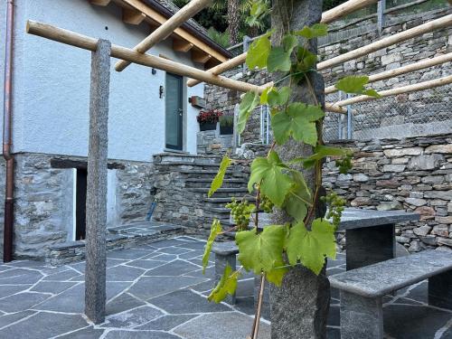 Facilities, Guest House 6646 in Tenero-Contra