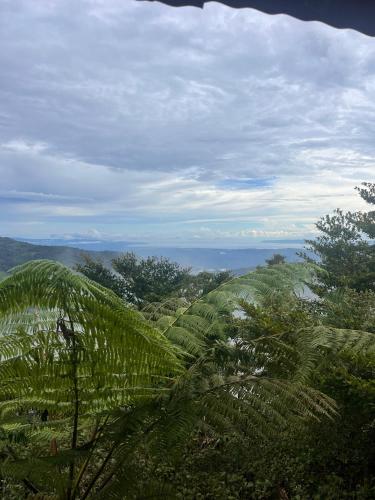 . Cabaña las Bromelia