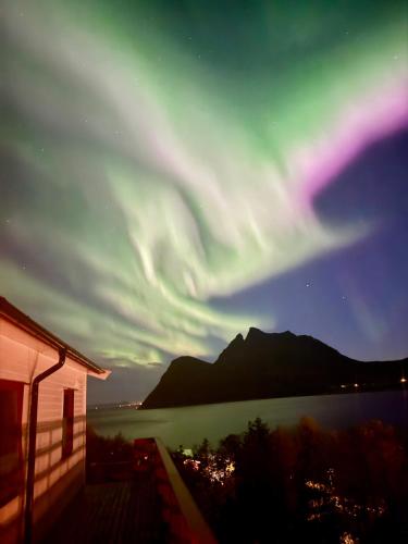 Rifi Senja House, Senja