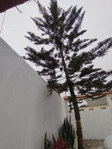 Nice suite near UPSE in Santa Elena