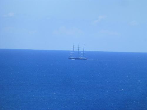 The Tree House I in ポイント ブランチ