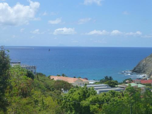 The Tree House I in ポイント ブランチ