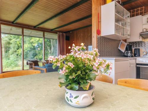 Comoditats, person holiday home in Skals-By Traum in Skals