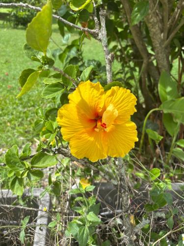 Gîte de Gentilly (Gite de Gentilly) in Μπεραρντ