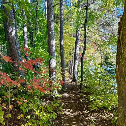 Parc de l'Île Melville 1 - Maison flottante (Parc de l'Ile Melville 1 - Maison flottante) in ชาวินิแกน (ควิเบก)