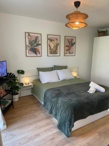 Studio Premium Haguenau - Location saisonnière - Haguenau