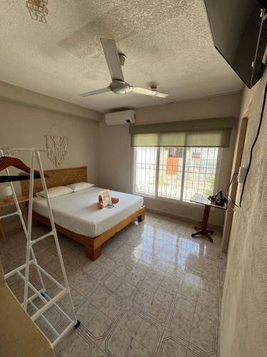Burgos Studio, Cancún (photo 6)
