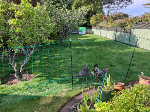 Cosy Garden Retreat in ฮันเตอร์วีลล์