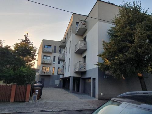 Apartament Sloneczny Sienkiewicza 3A - Rydzyna