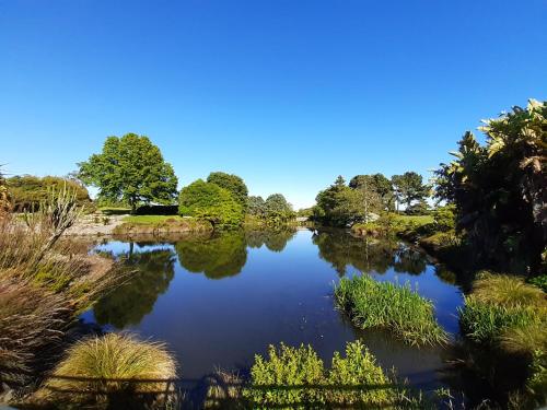 Quiet 40m Studio - Kitchen, Washer, AC, Work Desk, Auckland (zdjęcie 9)