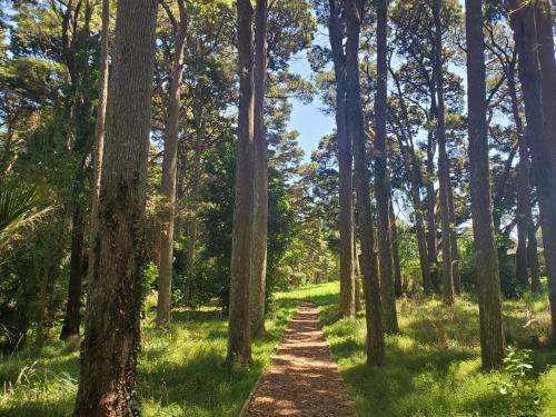 Quiet 40m Studio - Kitchen, Washer, AC, Work Desk, Auckland (zdjęcie 10)