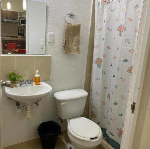 Terramar1 Acapulco in El Cayaco