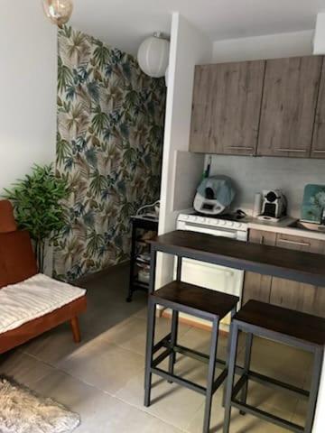 NICE VIEW Jolie Studio avec Jardin in Saint-Sylvestre