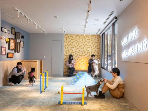 Faciliteter, hotel anddoggy Kyoto Nijo in Nijo