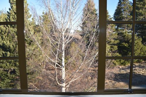 Creel House Bed and Breakfast – Lake Tekapo, TX