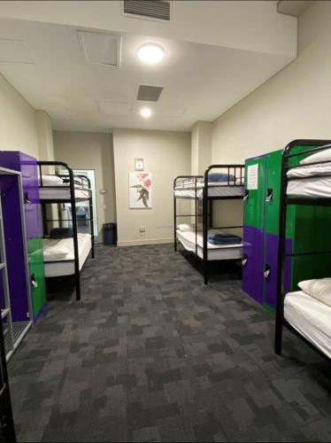 Big Backpackers Hostel Room Type - 1 Person in 6-Bed Dormitory with Shared Bathroom - Female Only, 18-40 Years Old Only