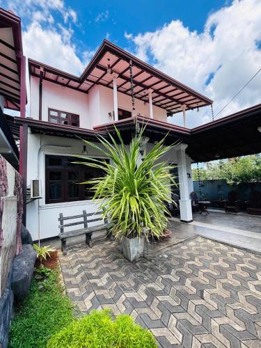 Solara Stay, Nikawatawana