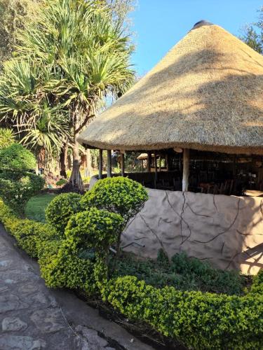 Xisaka Guest House in คียานี