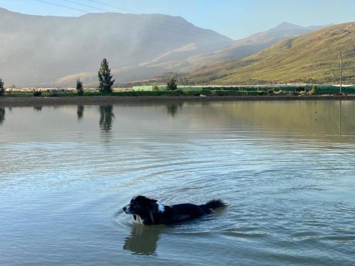 Kilátás, Plumtree Farm in Stormsvlei