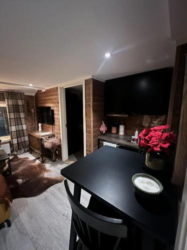 Charming apartment with lodgefeeling in Hemsedal