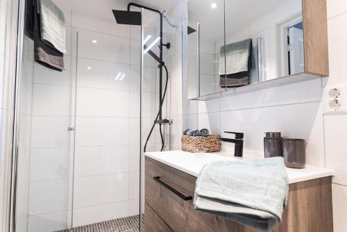 Charming apartment with lodgefeeling in Hemsedal