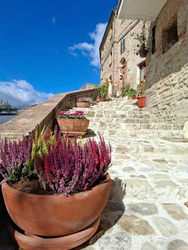 . Rustico Via del Sole 13