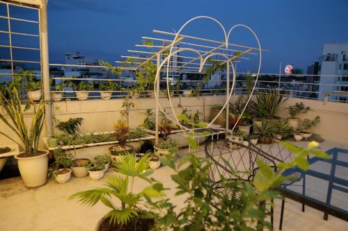 Retro Homestay Ha Long - 주변 환경