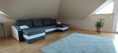 外部景觀, Ferienwohnung Haak in 德爾彭